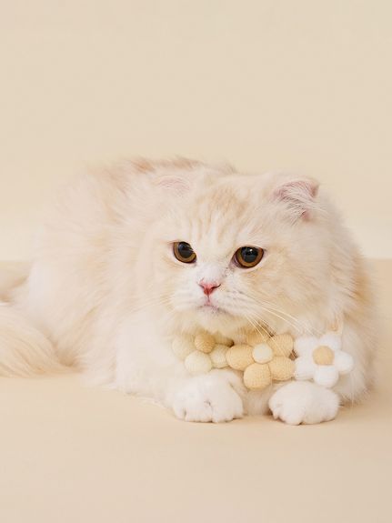 すべてのカテゴリ【ジェラート ピケ キャット＆ドッグ】フラワー