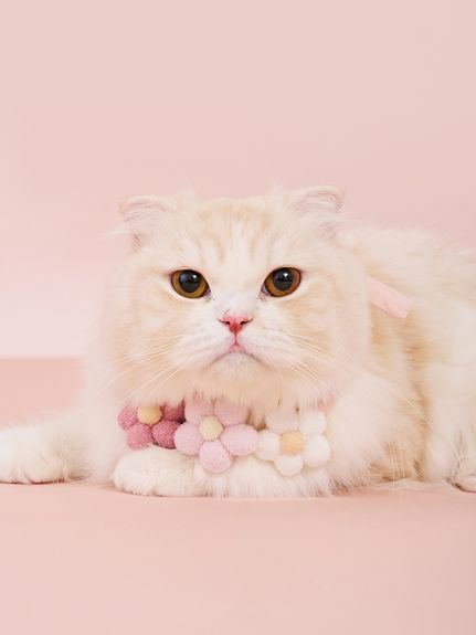 Gelato Pique 猫イラスト カーディガン グレー新品タグ付き CATジャガード衿付きカーディガン(カーディガン・ガウン)｜ルーム