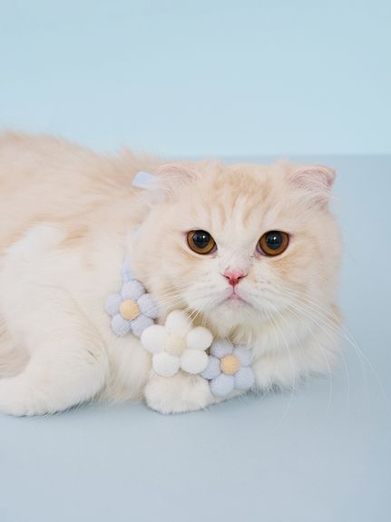 ジェラートピケ gelato pique 【CAT&DOG】フラワーモチーフねこじゃらし 【返品不可商品】 （PNK） - ファッション通販 d  fashion ジェラートピケ フラワーモチーフ　新品