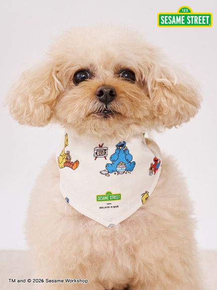 公式】gelato pique CAT & DOG（ジェラート ピケ キャット&ドッグ