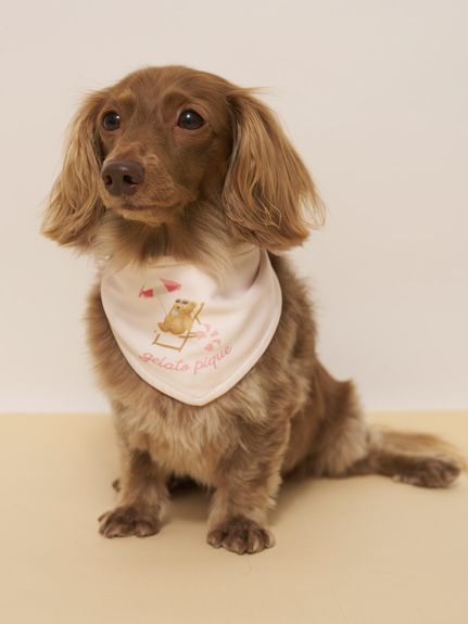 【完売品】 GELATO PIQUEチャコールグレー 犬服 ダウン Mサイズ 公式】gelato pique CAT & DOG（ジェラート ピケ キャット&ドッグ