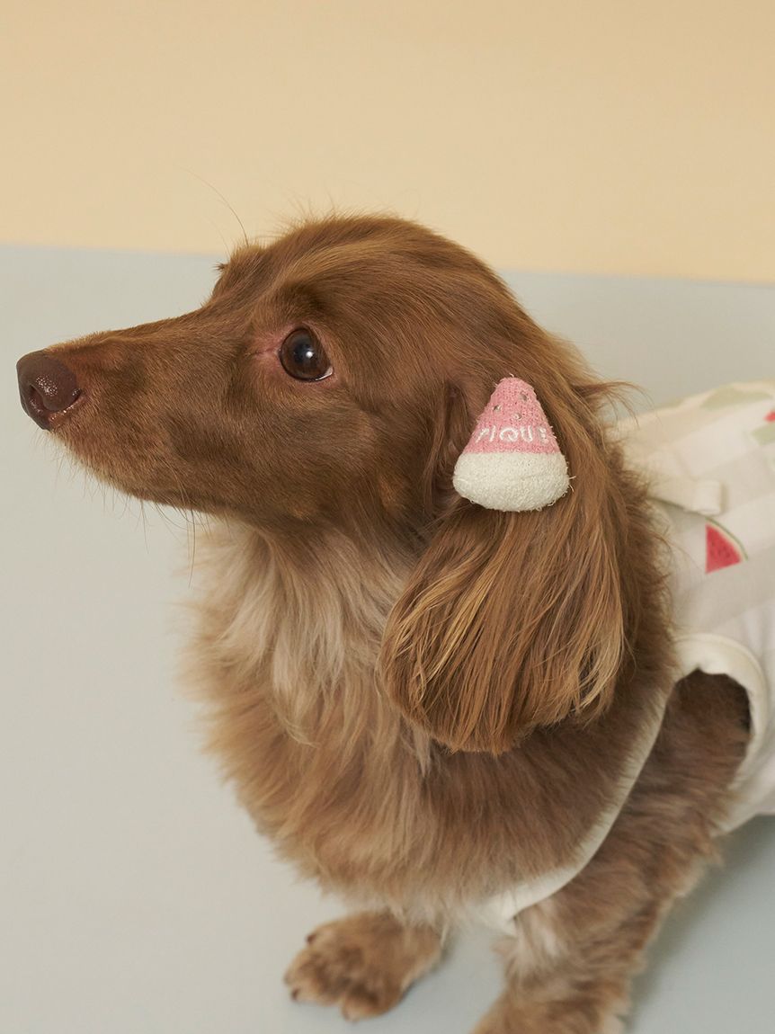 CAT&DOG】サマーモチーフヘアゴム(グッズ)｜ルームウェア・パジャマ