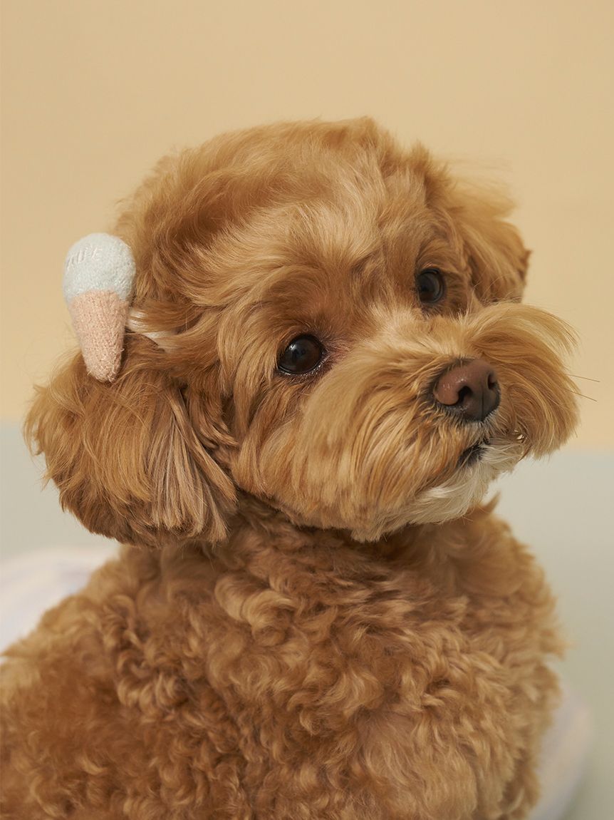CAT&DOG】サマーモチーフヘアゴム(グッズ)｜ルームウェア・パジャマ