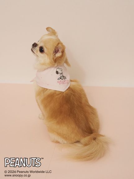 グッズ ( CAT＆DOG)｜ルームウェア・パジャマ通販のgelatopique