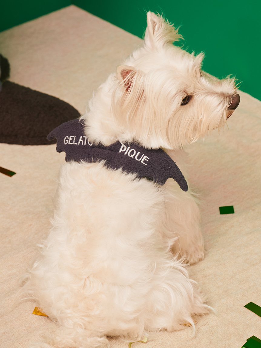 公式】gelato pique CAT & DOG（ジェラート ピケ キャット&ドッグ