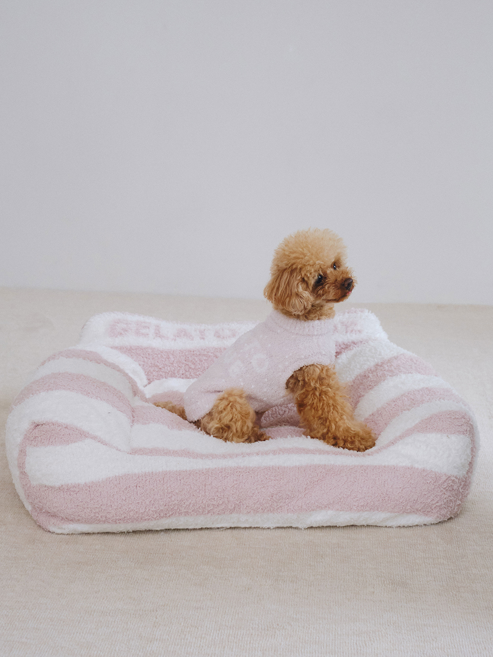 CAT&DOG】【販路限定商品】ジェラートソファ型ベッド(ベッド・ハウス 