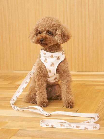 【美品】ジェラートピケ　ハーネス&リード　セット CAT&DOG】モチーフ柄ハーネス GELATO PIQUE CAT&DOG ジェラート