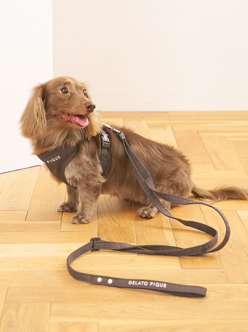 CAT&DOG】【販路限定商品】リード(ハーネス・リード)｜ルーム