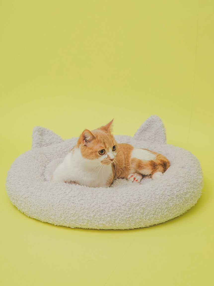 CAT＆DOG ｜ルームウェア・パジャマ通販のgelatopique（ジェラートピケ 