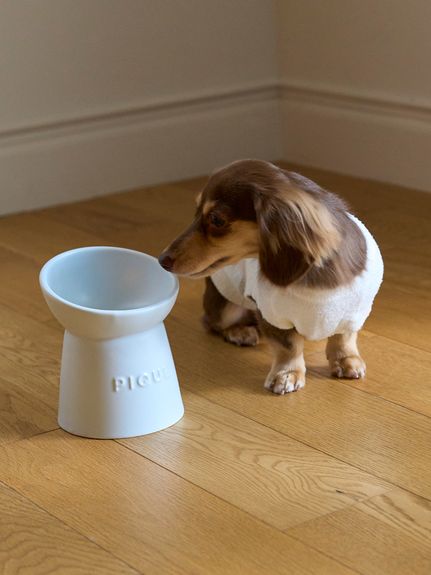 フードボウル ( CAT＆DOG)｜ルームウェア・パジャマ通販のgelatopique