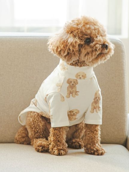 【CAT&DOG】トイプードル柄プルオーバー(OWHT-S)
