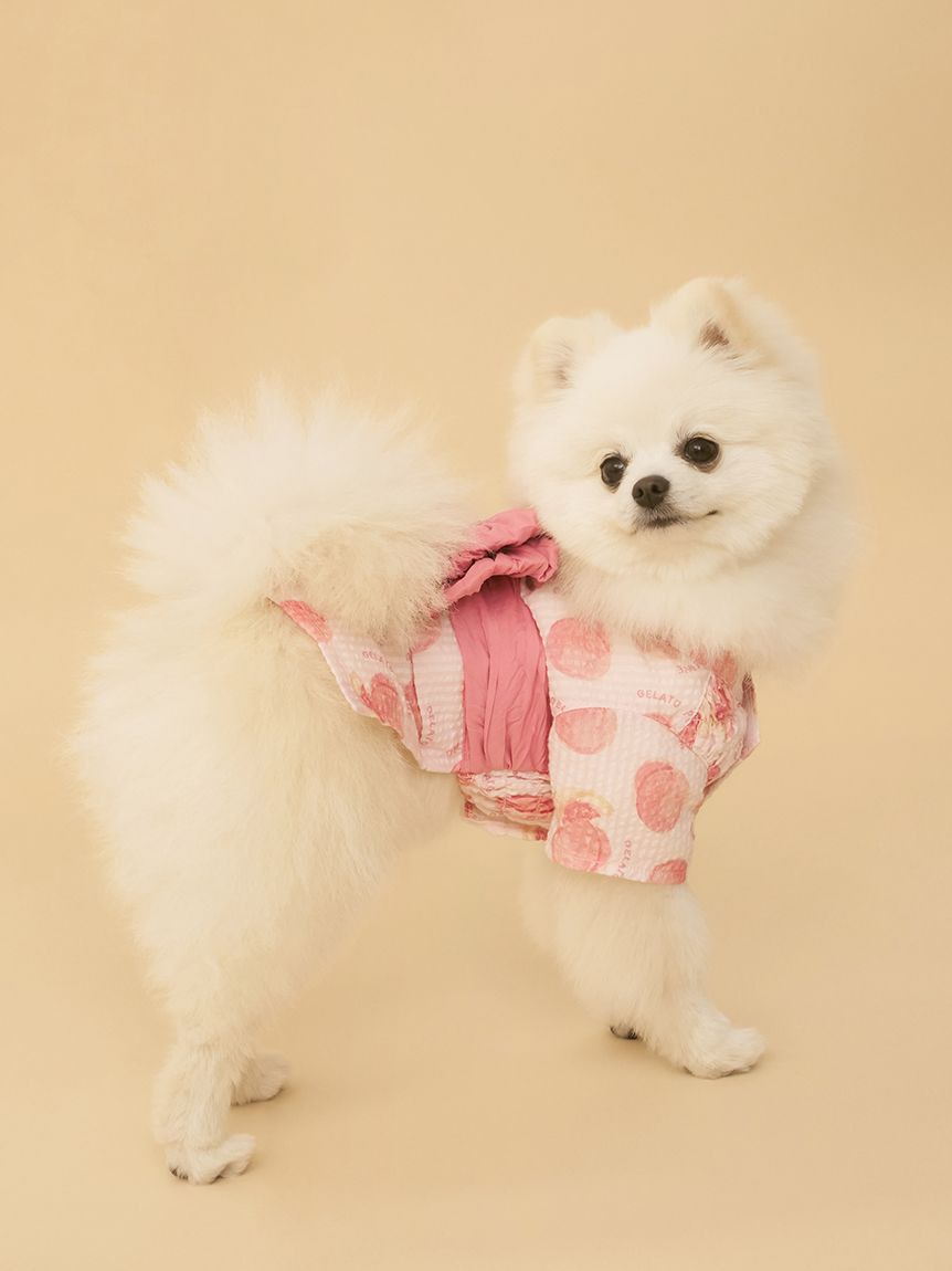 ジェラートピケ　ルームウェア　犬　ポメラニアン gelato pique ジェラートピケ ベビモコポメラニアンジャガード