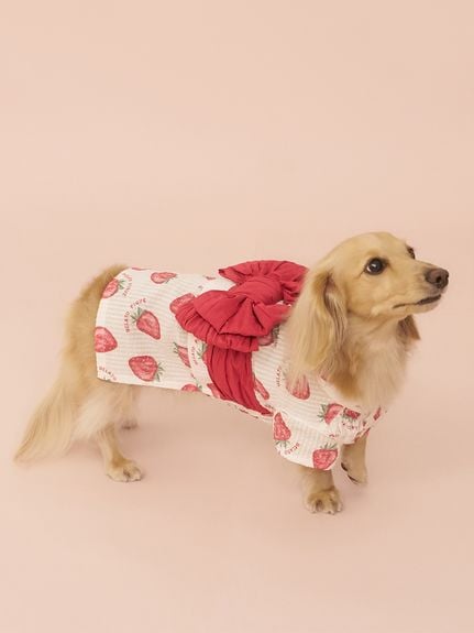 【CAT&DOG】ダックスフンドサイズ浴衣