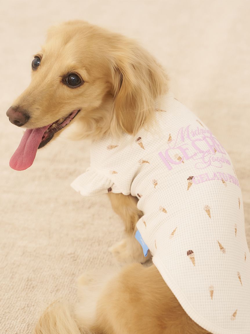 CAT&DOG】ダックスフンドサイズアイス柄フリルワッフルプル