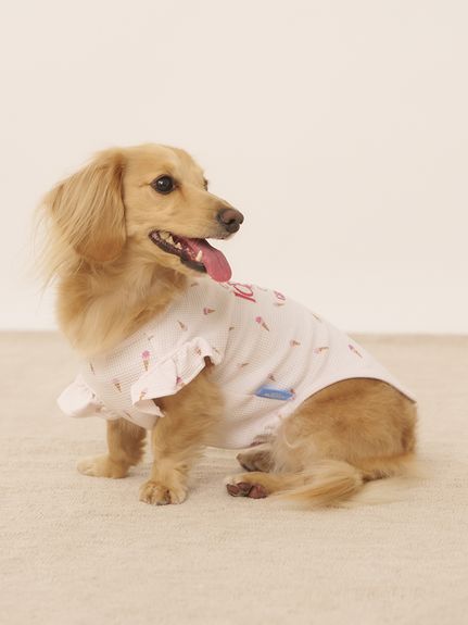 CAT&DOG】ダックスフンドサイズアイス柄フリルワッフルプル