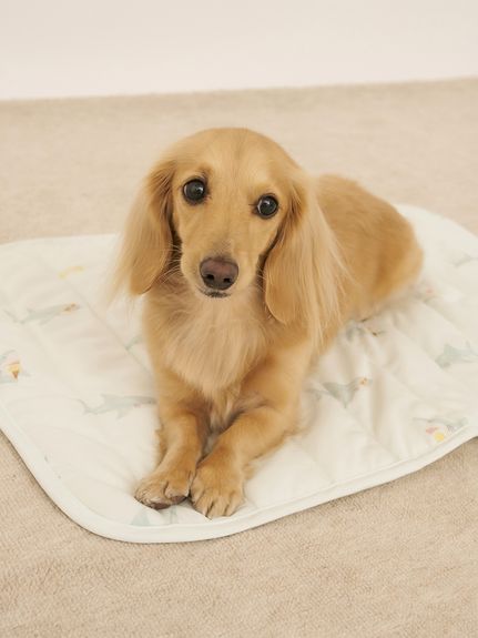 CAT&DOG】【接触冷感】SHARK柄COOLINGマット(ベッド・ハウス
