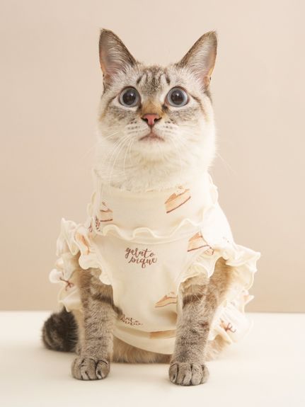 <foxy>GELATO PIQUE ジェラピケ 猫 ルームウェア 冬 新品】ジェラートピケ gelato pique モコモコ猫耳 ルームウェア