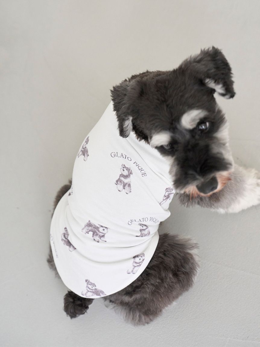 ジェラートピケ　ドッグ　ミニワンピース&レギンス gelato pique（ジェラートピケ）の「パウダーDOG3柄ジャガード