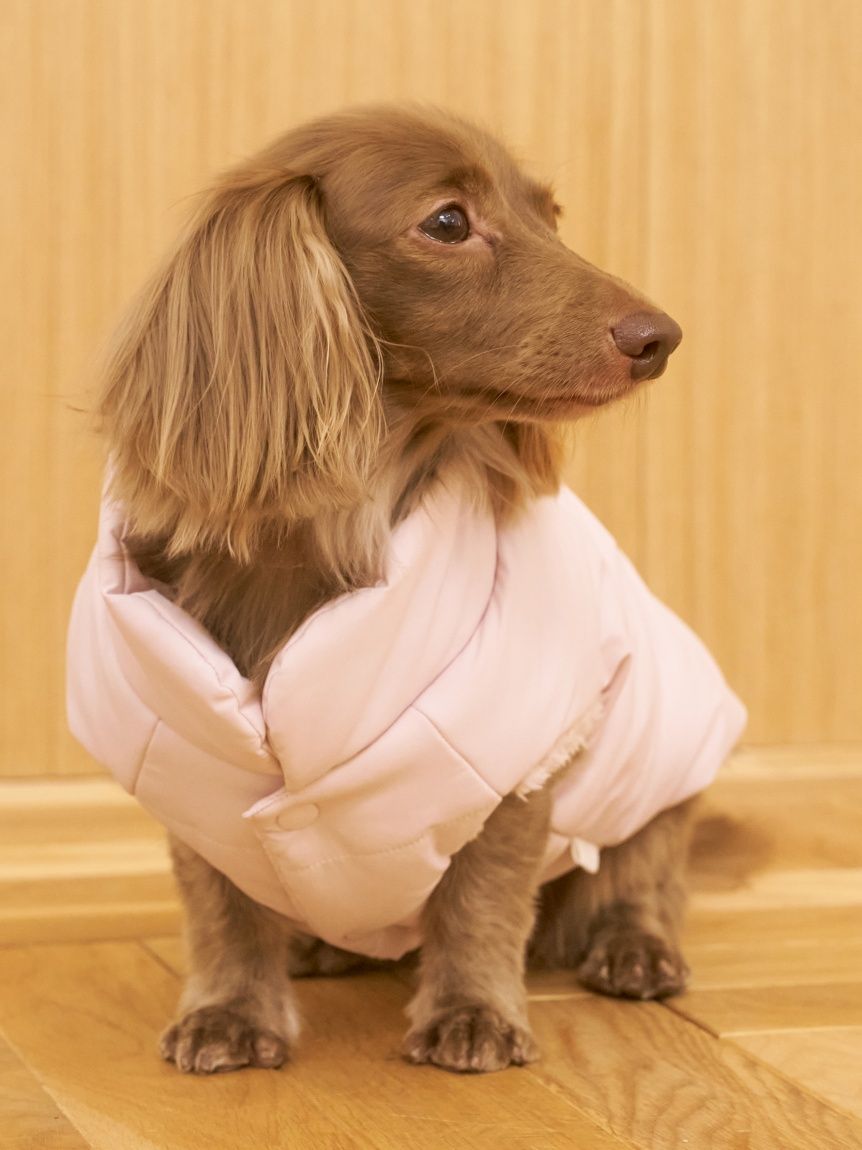 ジェラートピケ 中綿ベスト　くま柄　Lサイズ CAT&DOG】中綿ベスト(ウェア)｜ルームウェア・パジャマ通販の