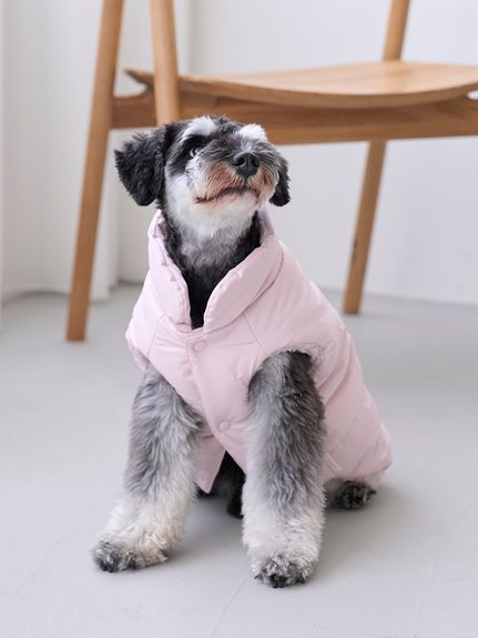 新品　gelato pique DOG柄　ルームウェア　上下セット　パジャマ 公式】gelato pique CAT & DOG（ジェラート ピケ キャット
