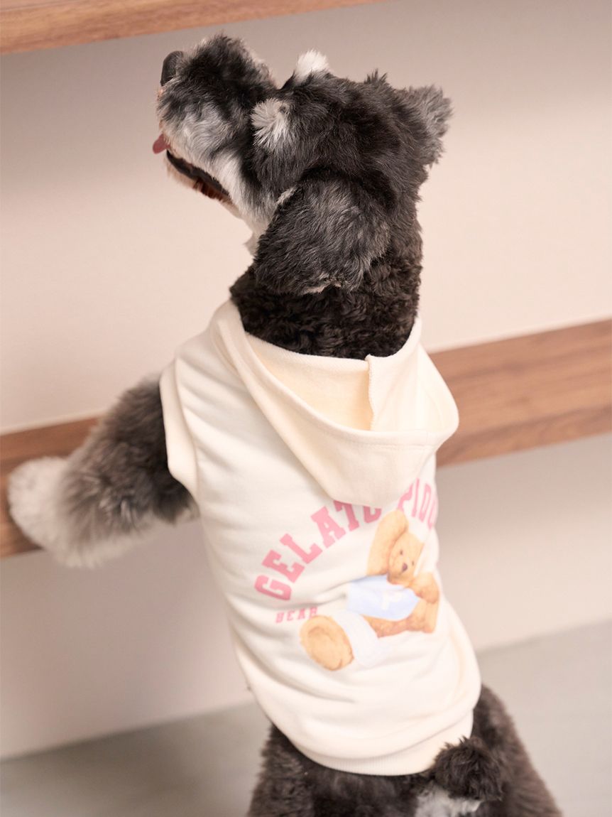 CAT&DOG】スポーティーベア裏毛プルオーバー(ウェア)｜ルーム