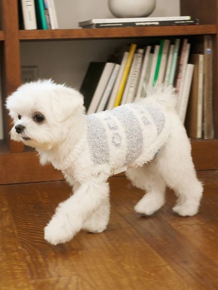 ウェア ( CAT＆DOG)｜ルームウェア・パジャマ通販のgelatopique