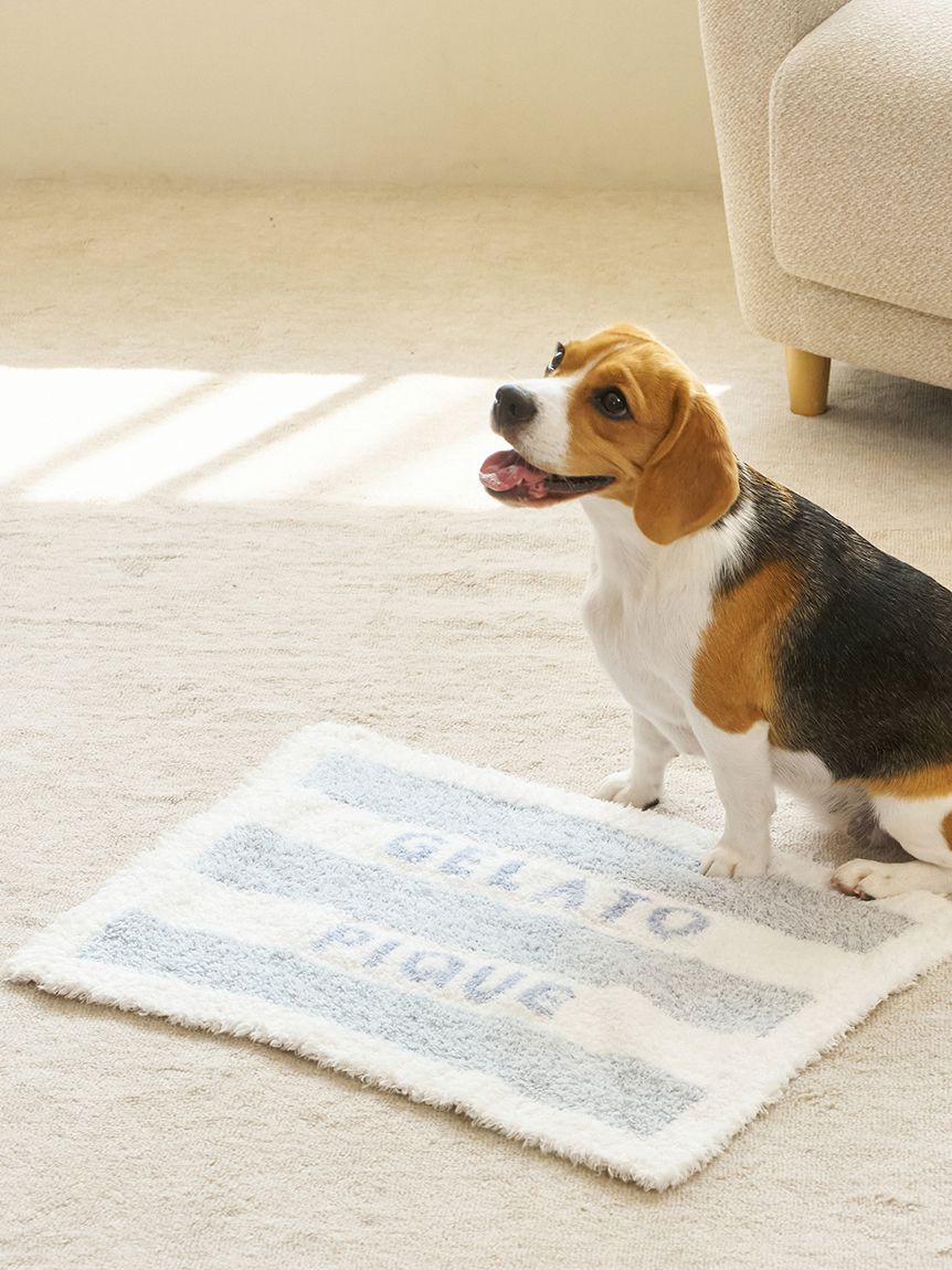 ジェラートピケ　プードル　ブランケット gelato pique（ジェラートピケ）【CAT&DOG】【販路限定商品】オータム