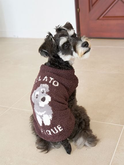 【2666】ジェラートピケ パウダーニットワンピース　CAT&DOG ピンク gelato pique（ジェラートピケ）の「CAT&DOG柄ワンピース