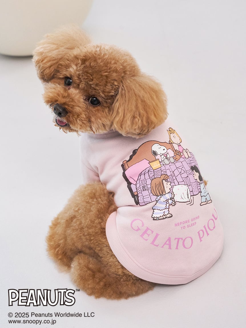 チワワ」に該当する ｜ルームウェア・パジャマ通販のgelatopique