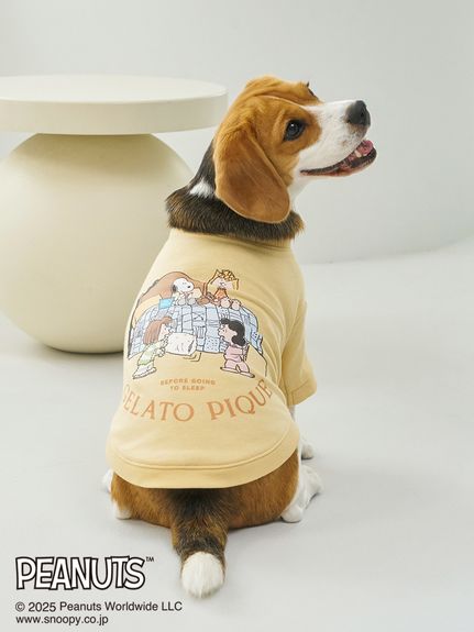 PAIR 通常｜ルームウェア・パジャマ通販のgelatopique（ジェラートピケ