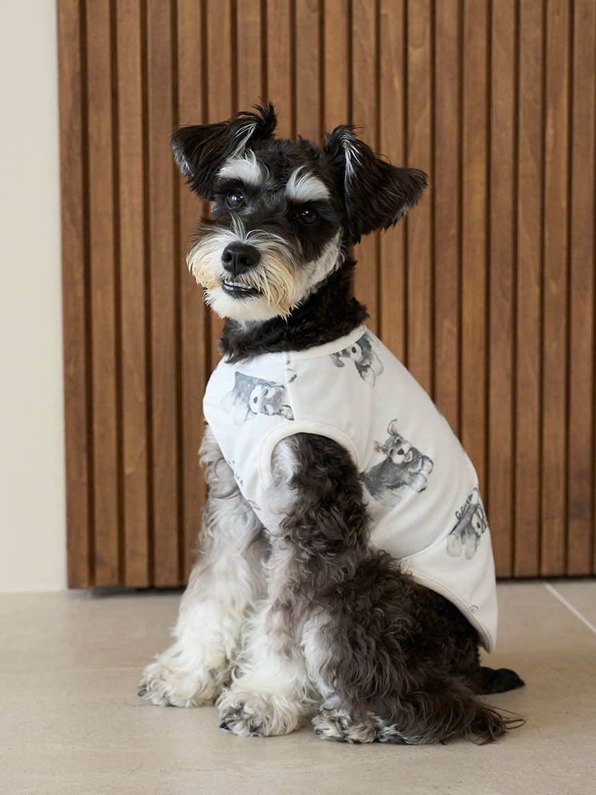 ジェラートピケ【CAT&DOG】シュナウザー柄カットソープルオーバー CAT&DOG】シュナウザー柄カットソープルオーバー(ウェア