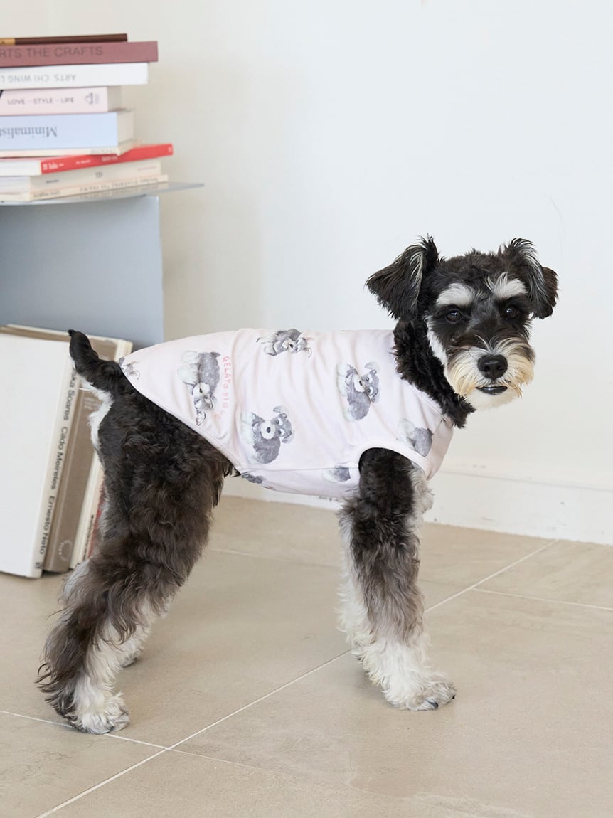 キャット」に該当する ｜ルームウェア・パジャマ通販の