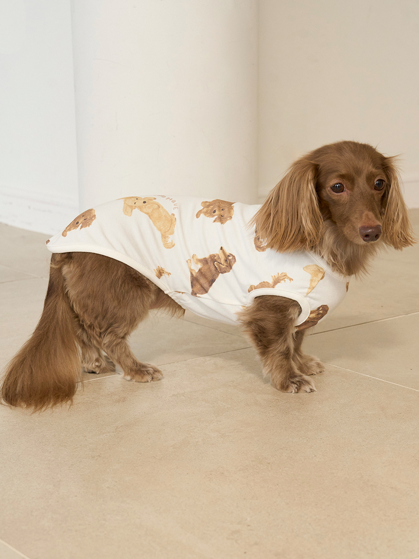 正規品♡DOG柄プルオーバー＆ロングパンツ♡ダックス 正規品♡DOG柄プルオーバー＆ロングパンツ♡ダックス 正規品♡DOG