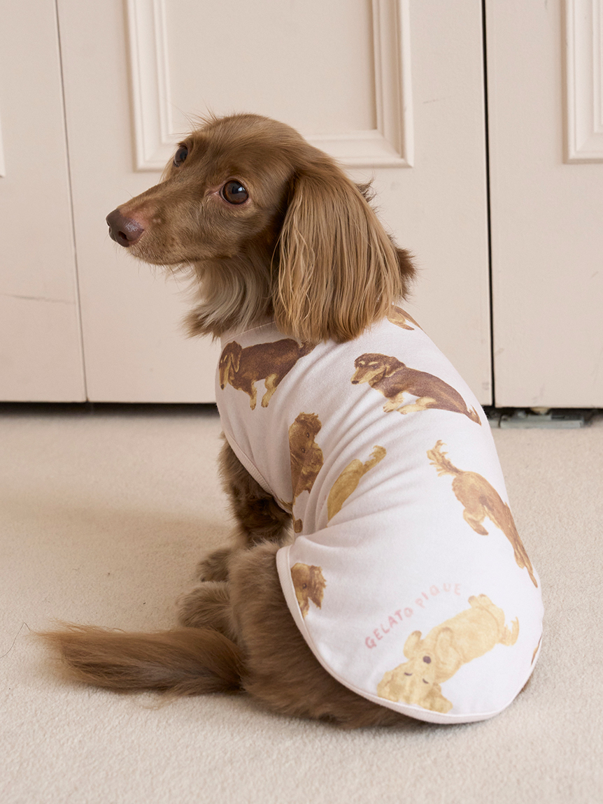 正規品♡DOG柄プルオーバー＆ロングパンツ♡ダックス 正規品♡DOG柄プルオーバー＆ロングパンツ♡ダックス gelato pique