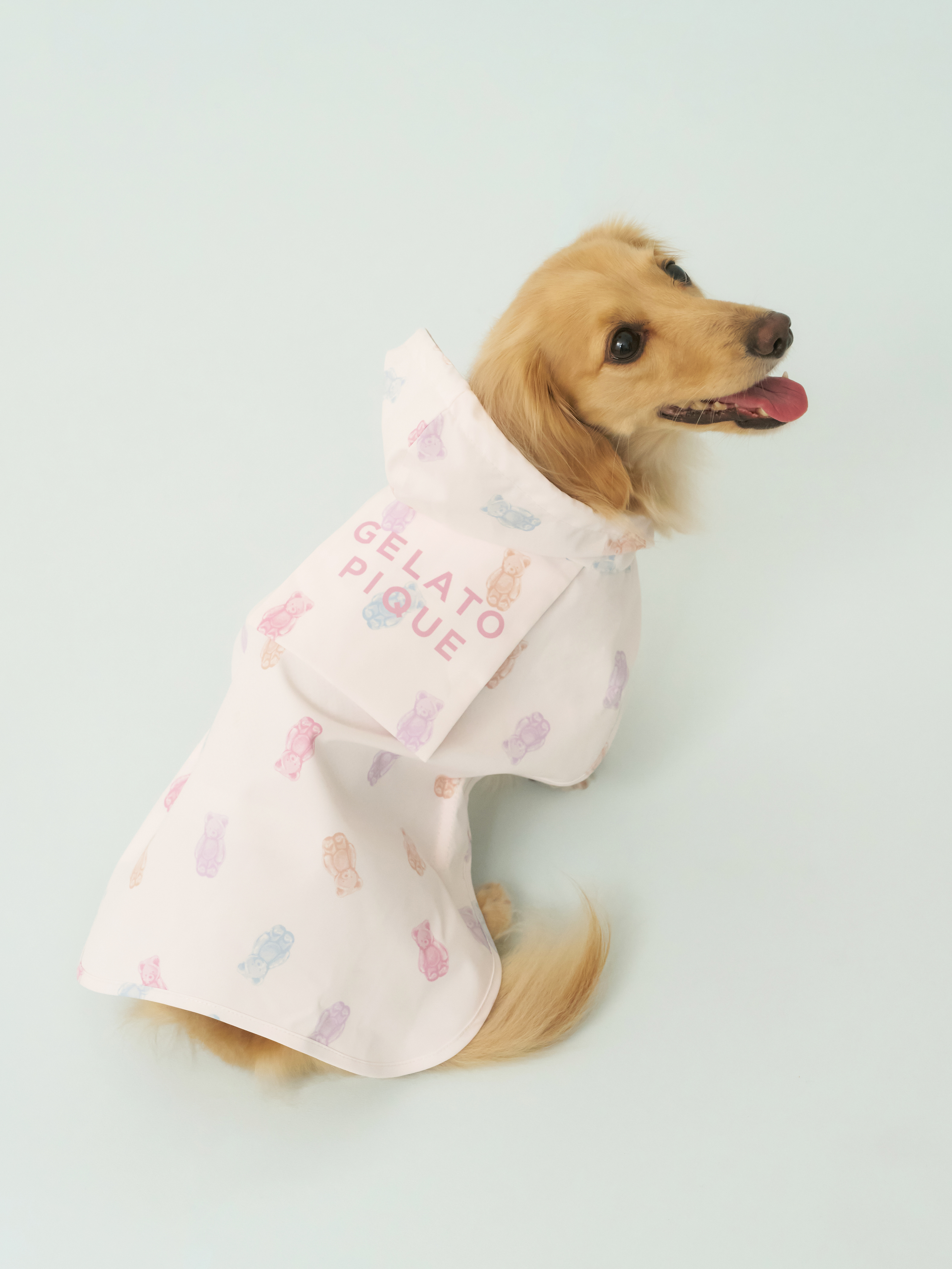 【CAT&DOG】ダックスフンドサイズレインポンチョ(PNK-DM)