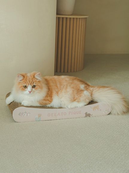 グッズ ( CAT＆DOG)｜ルームウェア・パジャマ通販のgelatopique