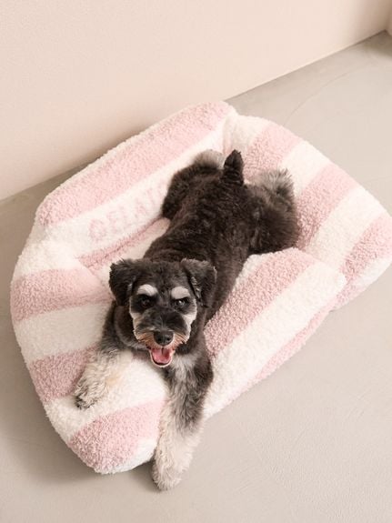 公式】gelato pique CAT & DOG（ジェラート ピケ キャット