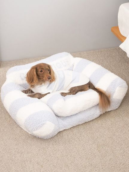 新品　gelato pique DOG柄　ルームウェア　上下セット　パジャマ 公式】gelato pique CAT & DOG（ジェラート ピケ キャット