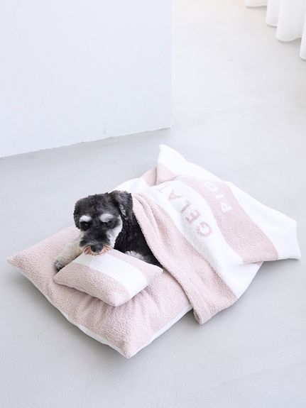 美品✨ジェラートピケ ジェラピケ 福袋 2018 セット 上下 まとめ 犬柄