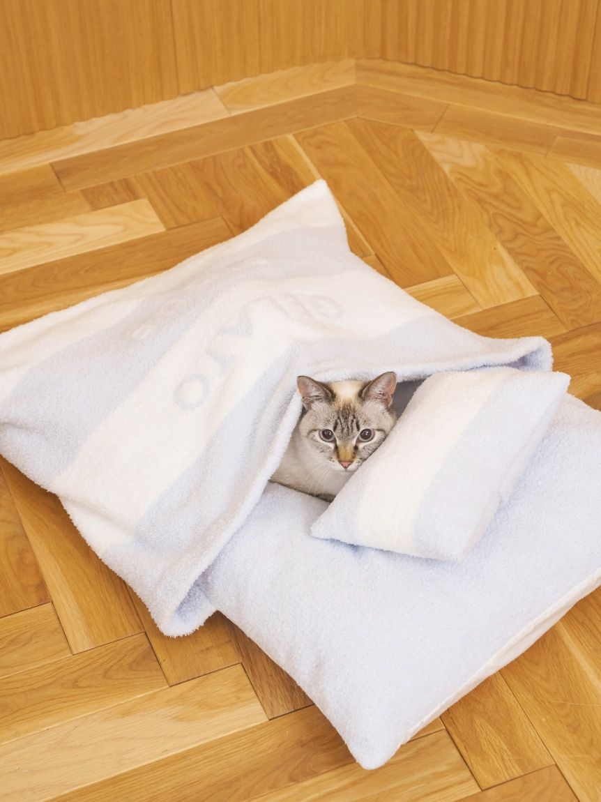 ラスト1点❗️ジェラートピケ　お布団セット　ベージュ gelato pique ジェラートピケ ベビー Sleep BABY アニマル遊園地