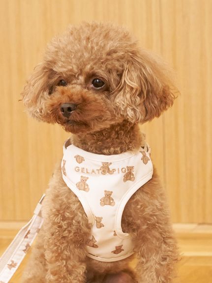 ハーネス・リード ( CAT＆DOG)｜ルームウェア・パジャマ通販の