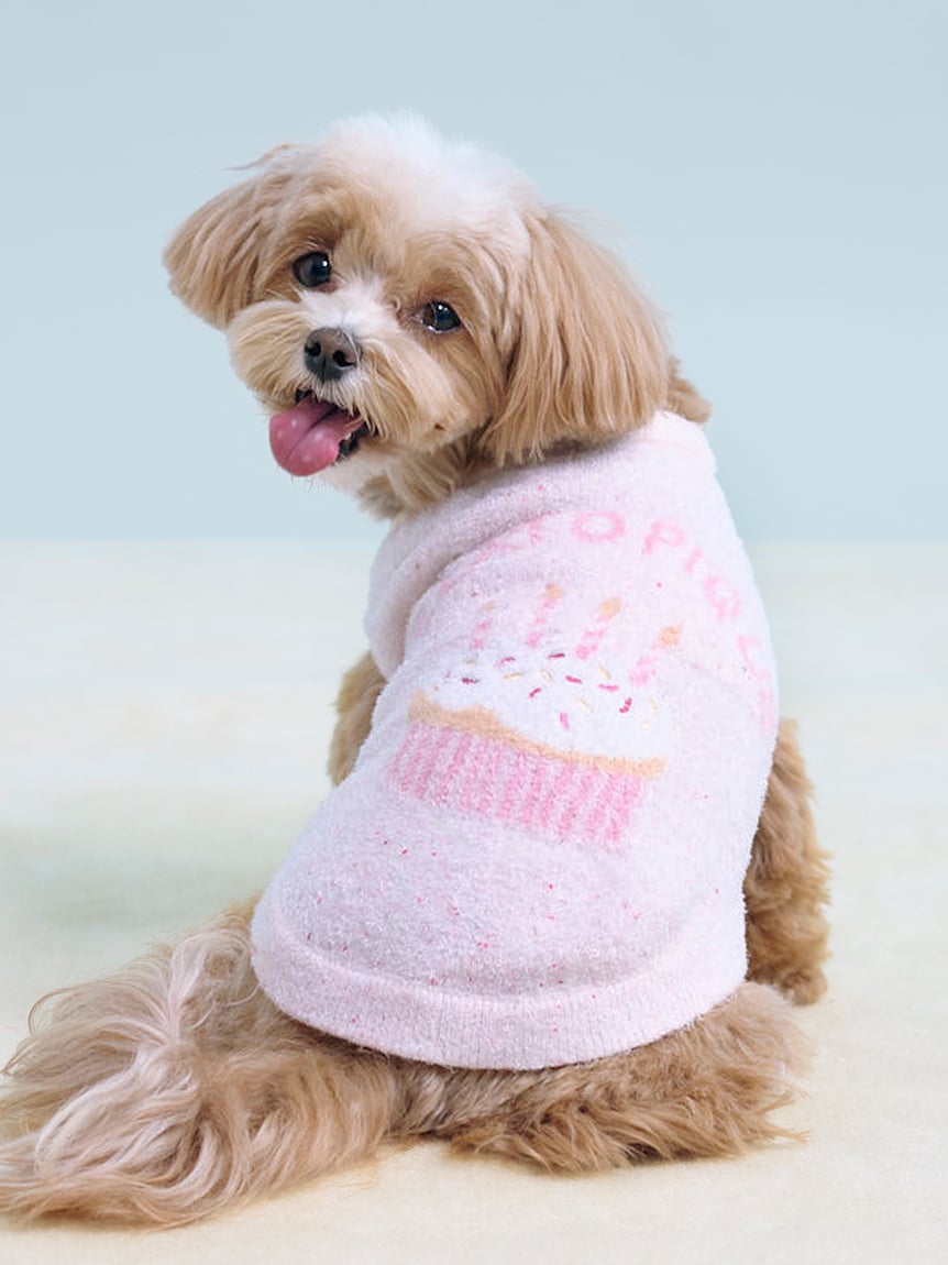 公式】gelato pique CAT & DOG（ジェラート ピケ キャット