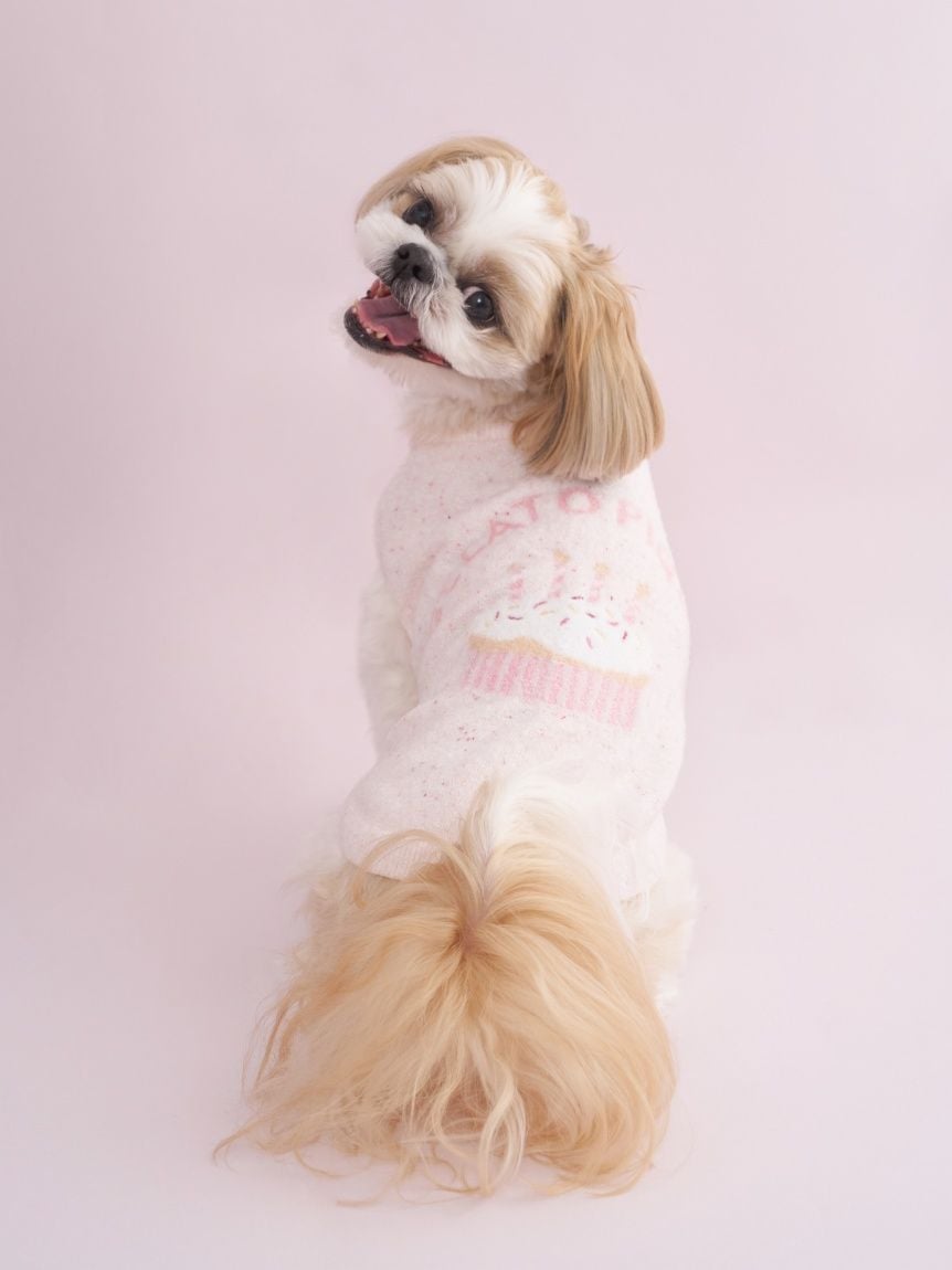 CAT&DOG】【Birthday】スムーズィーカップケーキジャガードプル