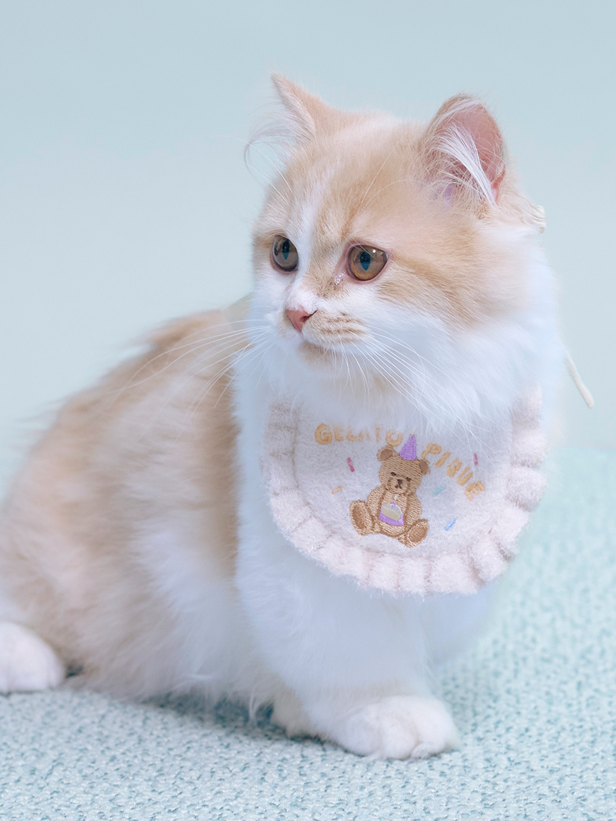 CAT」に該当する 通常｜ルームウェア・パジャマ通販のgelatopique