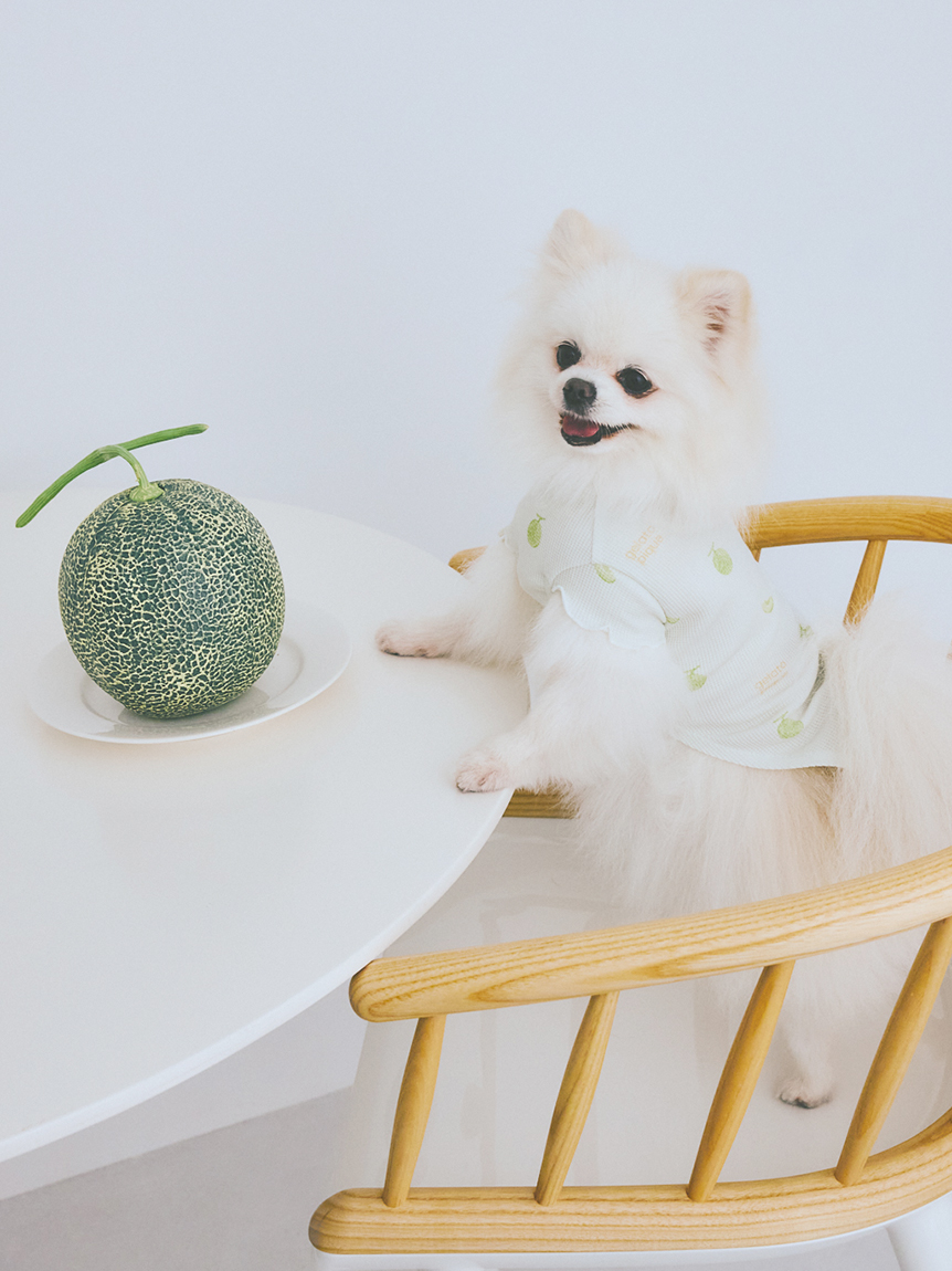 ルームウェア・パジャマ通販のgelatopique（ジェラートピケ）公式サイト