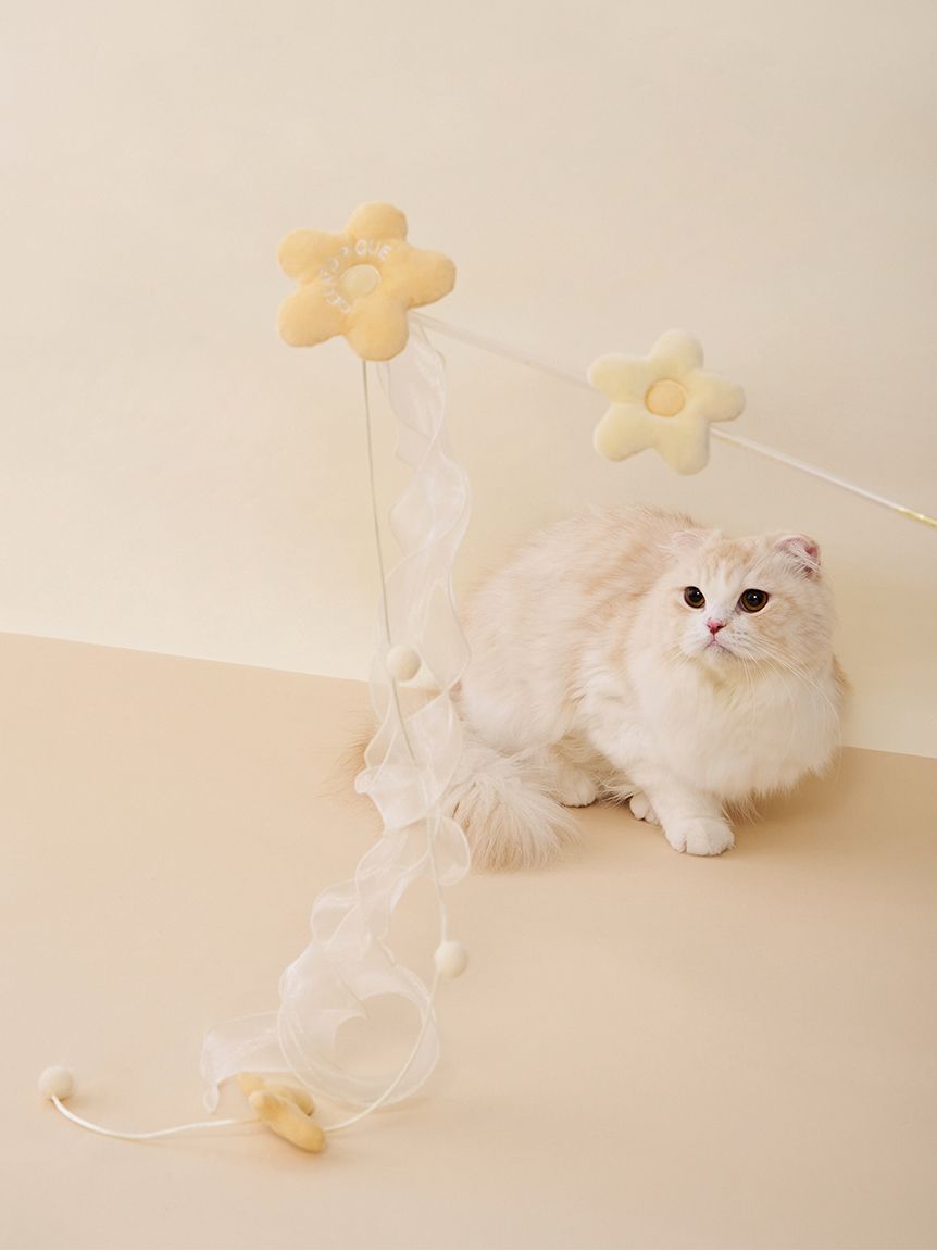 CAT&DOG】フラワーモチーフねこじゃらし(グッズ)｜ルームウェア