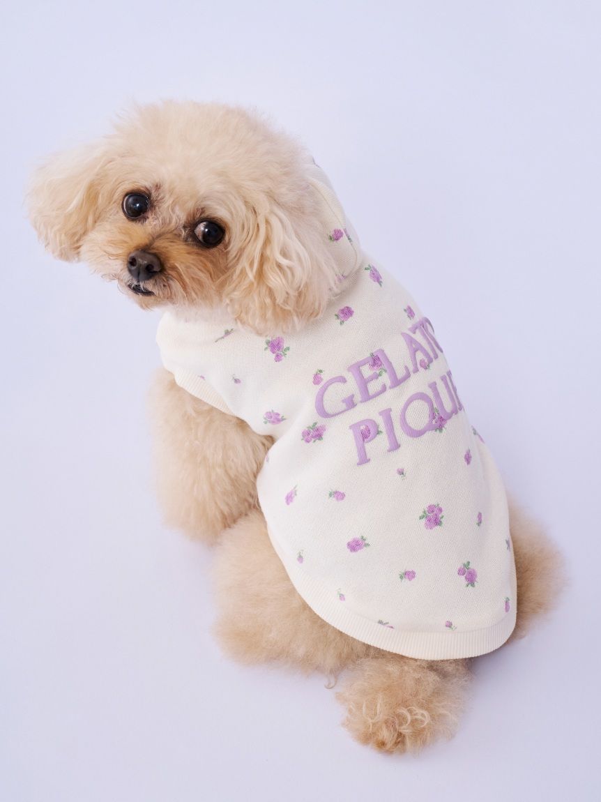gelato pique 犬イラスト もこもこパジャマ ジェラートピケ UNISEX エアリーモコプレイフルDOGジャガードプル