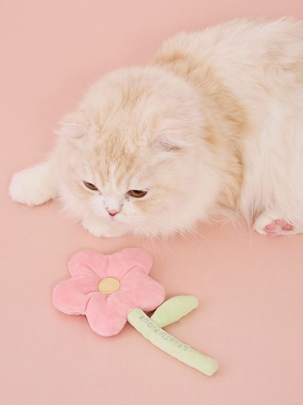 CAT&DOG】スプリングモチーフトイ(グッズ)｜ルームウェア・パジャマ