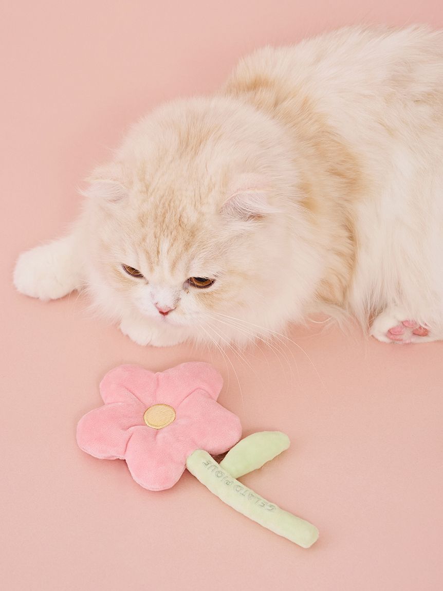 CAT&DOG】スプリングモチーフトイ(グッズ)｜ルームウェア・パジャマ