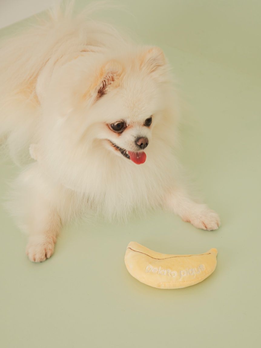 CAT&DOG】フルーツトイ(グッズ)｜ルームウェア・パジャマ通販の